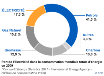 part de l'électricité dans la consommation mondiale totale d'énergie en 2009