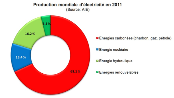 L'énergie électrique provient à 68,1% des energies carbonnes (comme le charbon, le gaz ou le pétrole). Elle provient à 13,4% de l'énergie nucléaire, à 16,2% de l'énergie hydraulique, et à 3,3% des énergies renouvelables.